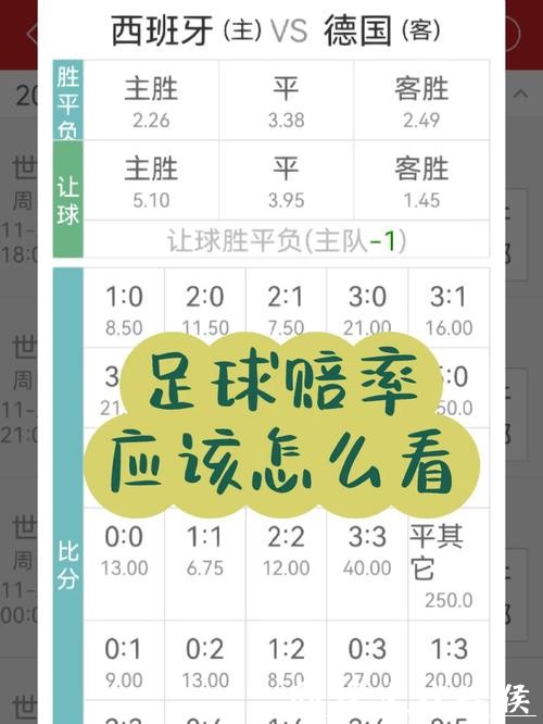 世界杯竞猜平台实时赔率更新查询 世界杯竞猜平台实时赔率更新查询